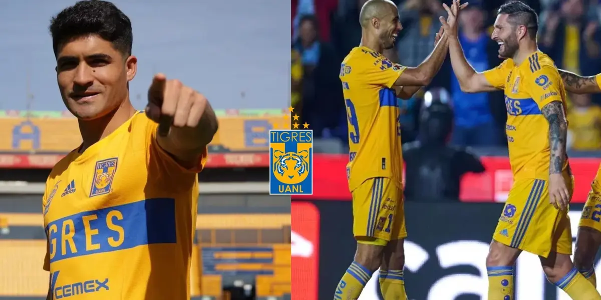 Nicolás Ibáñez revela la verdad