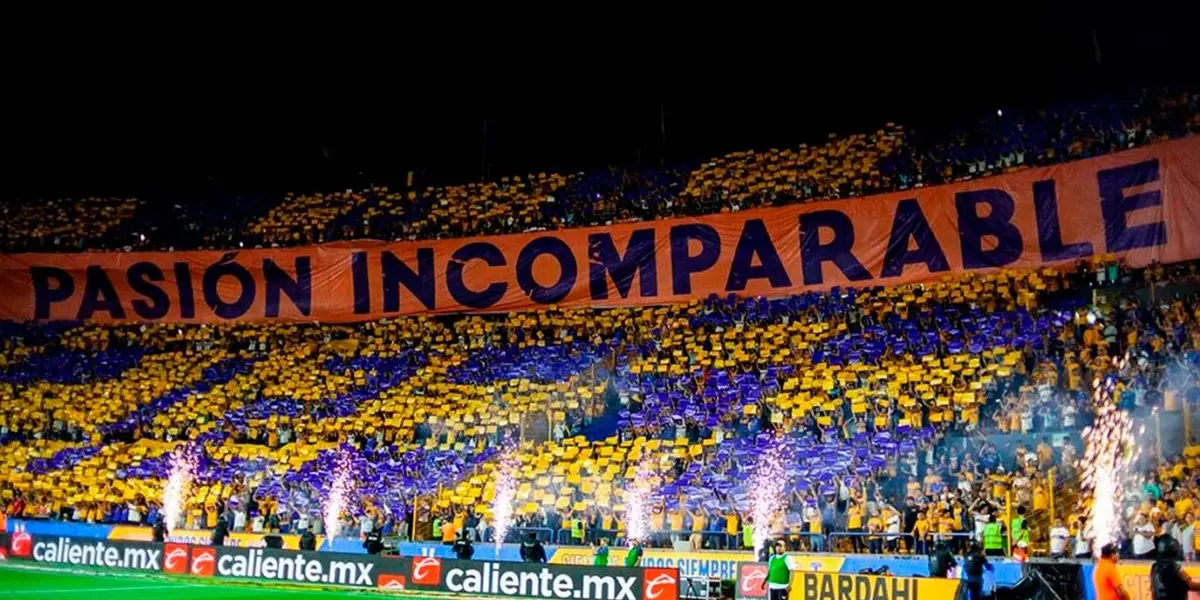 Nuestros Tigres registran cinco triunfos y cuatro empates jugando de local