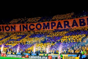 Nuestros Tigres registran cinco triunfos y cuatro empates jugando de local