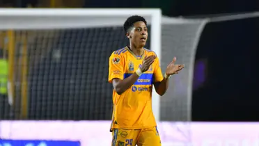 Ozziel llegó a rejuvenecer el ataque Tigre / @TigresOficial