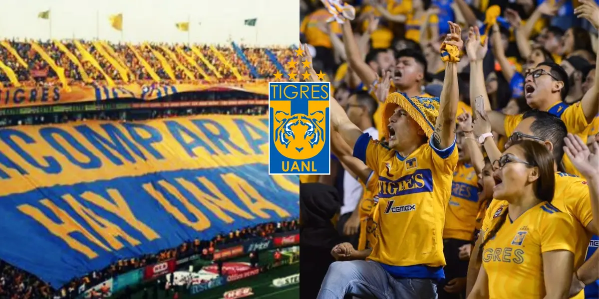 Por esto le llaman ‘incomparables’ a los aficionados felinos