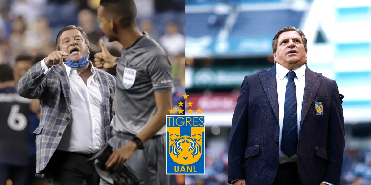 Quizás ya no haya necesidad de cantarle las golondrinas