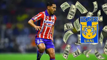 Ricardo Chávez con escudo de Tigres/FOTO: Transfermarkt