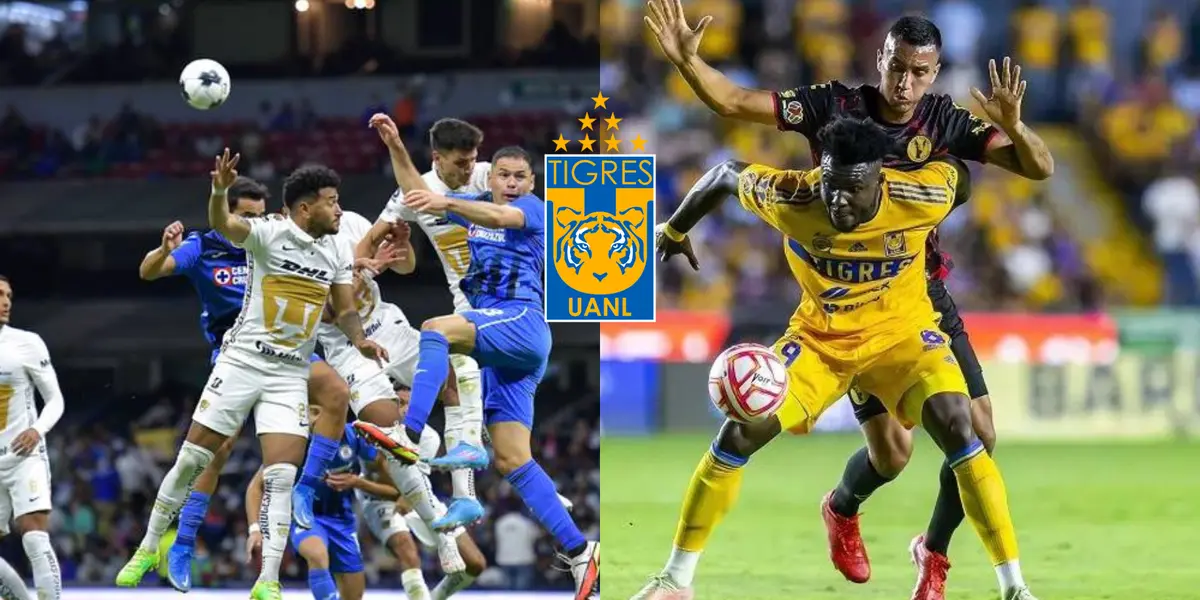 Si no se pone las pilas se ira de los felinos