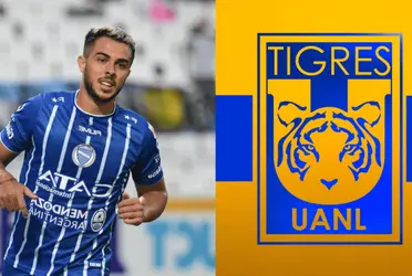 Tienen varios meses observando y buscan la manera para traerlo