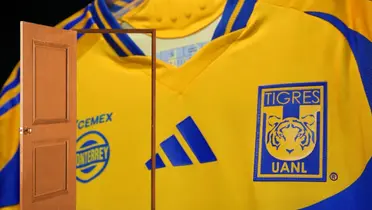 Tigres Foto: TIgres UANL y Pexels