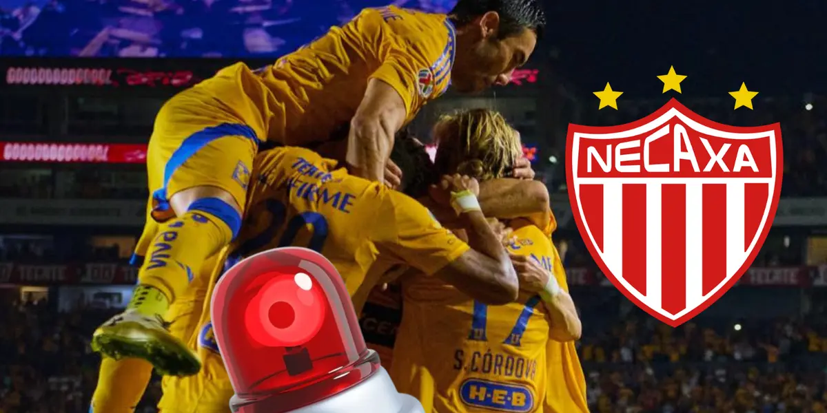 Tigres UANL Foto: Pexels, Tigres UANL y Escudoteca