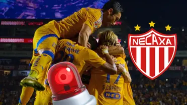 Tigres UANL Foto: Pexels, Tigres UANL y Escudoteca