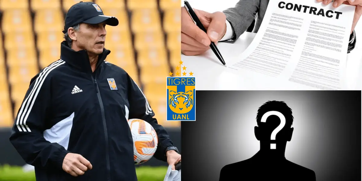 Tigres ya tiene amarrada su primer alta ni bien termine la final