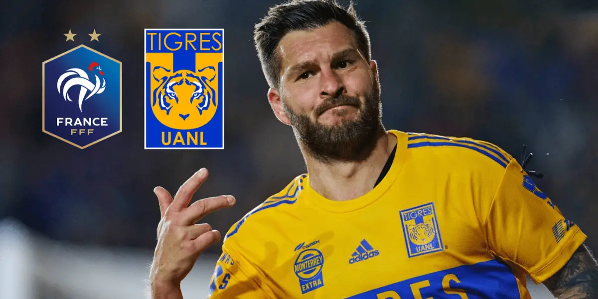 Toda la afición de Tigres goza de tener a André-Pierre en la plantilla, pero ahora puede ser un doble disfrute ante un nuevo Gignac.