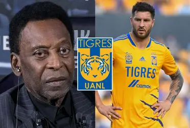 Uno de los jugadores que sorprendió a Pelé en Tigres y lo considero un crack