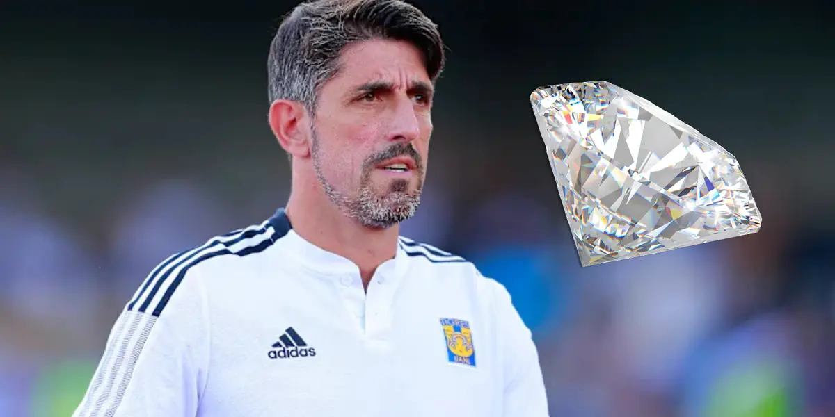 Veljko Paunovic Foto: 90 Min y Pexels