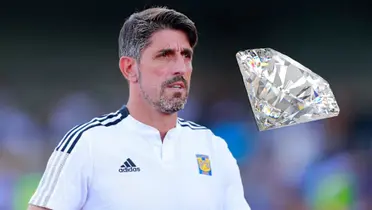 Veljko Paunovic Foto: 90 Min y Pexels
