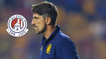 Veljko Paunovic Foto: Claro Sports