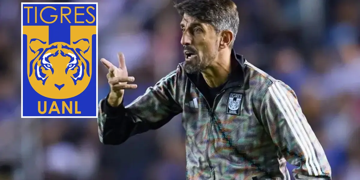 Veljko Paunovic Foto: Excelsior