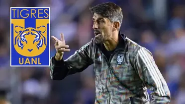 Veljko Paunovic Foto: Excelsior