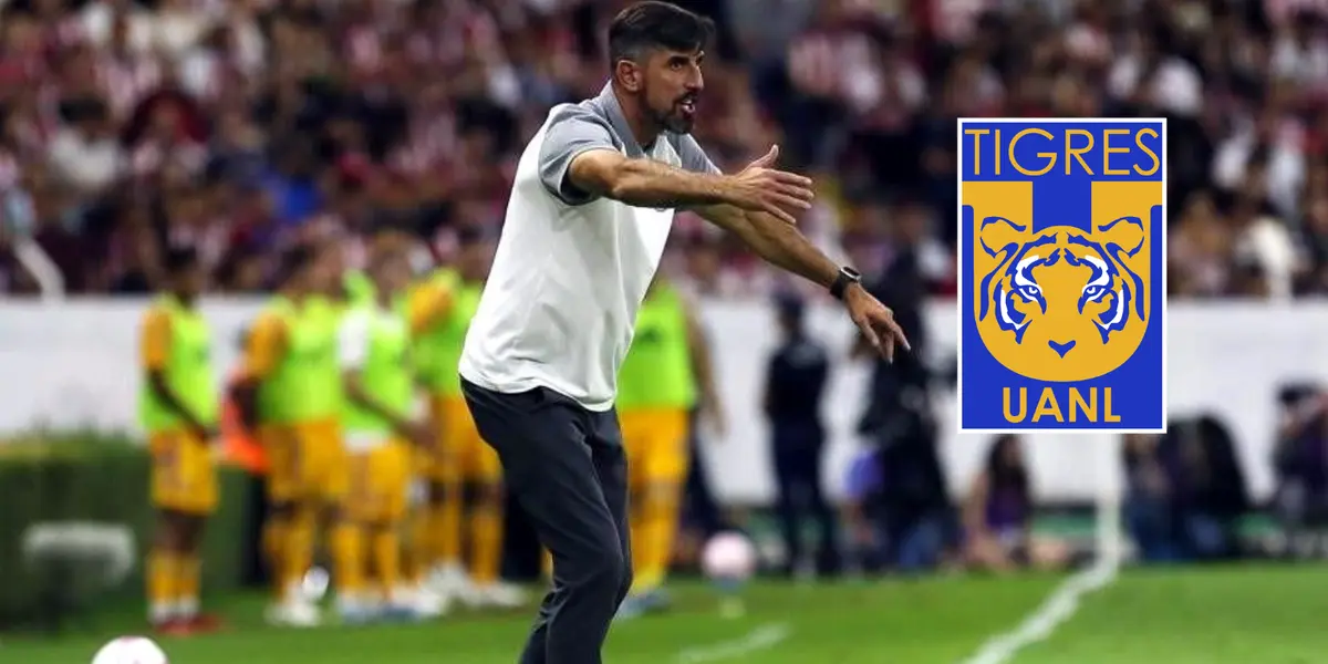 Veljko Paunovic Foto: Marca y Escudoteca