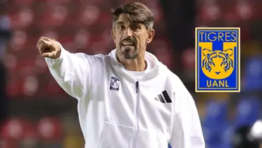 Veljko Paunovic (Foto: Tigres)